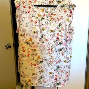 2x Pleione Flowered top